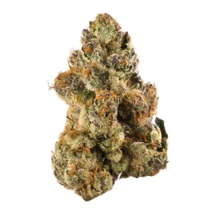OREO MINTZ STRAIN 12