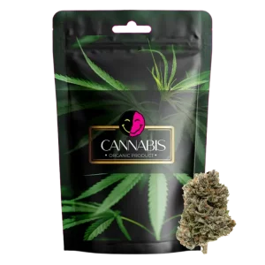 OG Kush Strain 2