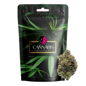 Girls scout cookies 12