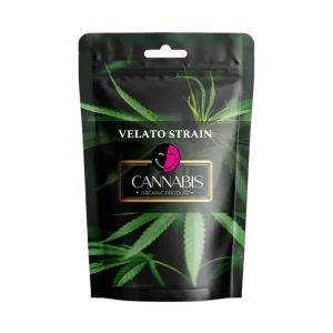 VELATO STRAIN 12